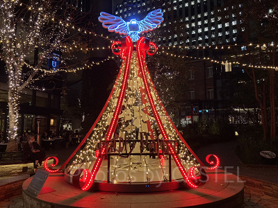 ホグワーツの手紙の樹