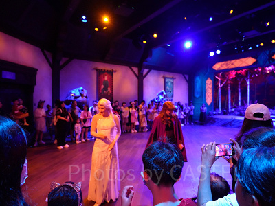 香港ディズニーのアナ雪エリア「ワールドオブフローズン」：プレイハウス・イン・ザ・ウッズ