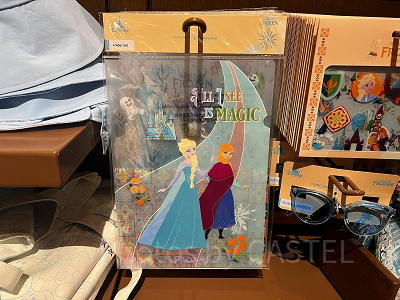 香港ディズニーアナ雪グッズ:クリアファイルセット