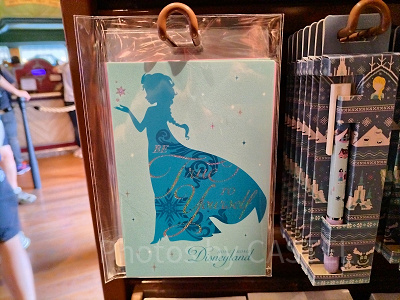 香港ディズニーアナ雪グッズ:ポストカードセット