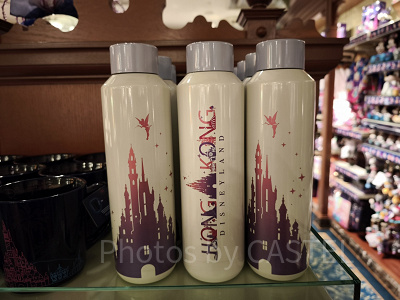 香港ディズニー20周年・スカイライングッズ:ドリンクボトル