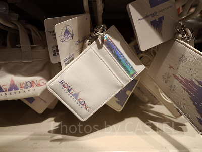 香港ディズニー20周年・スカイライングッズ:パスケース