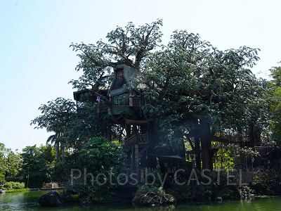 香港ディズニーランドのアトラクション：ターザン・ツリーハウス