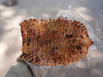 香港ディズニーランド：韓国風イカ焼き