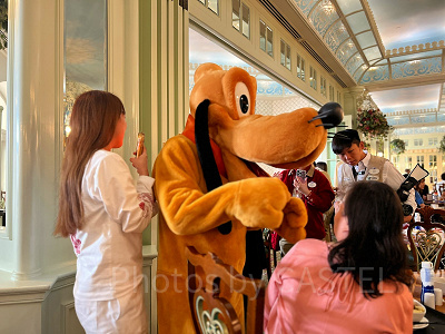 香港エンチャンテッドガーデンレストラン：プルートが食卓に！