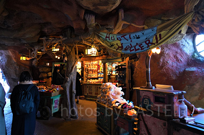 スプラッシュマウンテン&クリッターカントリー グッズまとめ売り約50点