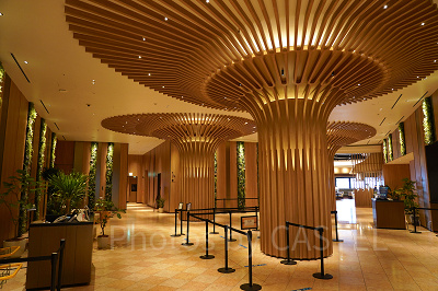 大木をイメージした柱が印象的なホテルロビー