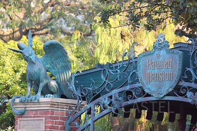 マダムレオタの仕組みは？