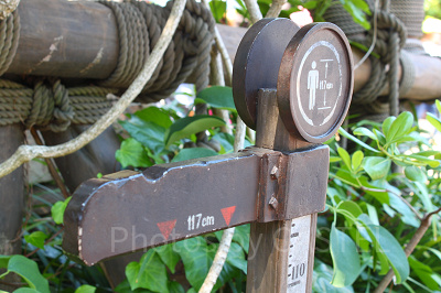 身長はどのように計測されるの?