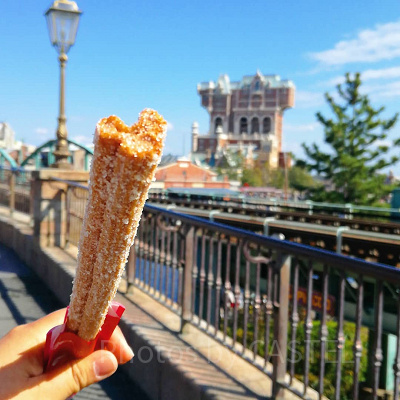 ディズニーシーの回り方