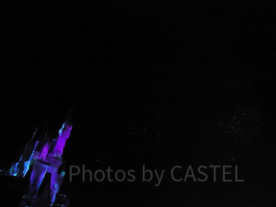 ディズニーランドから帰りたくないけれど…