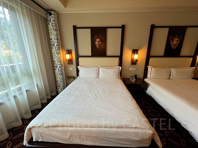 エクスプローラーズ・ロッジの部屋の内装