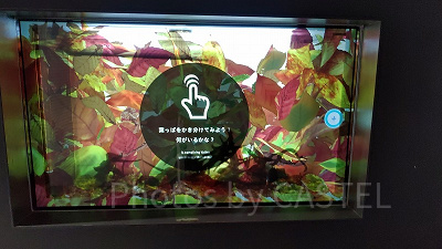 マジカルグラウンド内の「インタライブエリア」