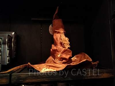 それぞれの寮の特徴を詳しく紹介!