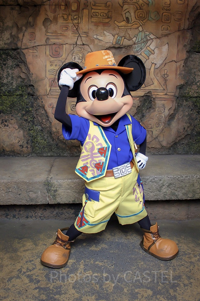 ショーの見どころを紹介!