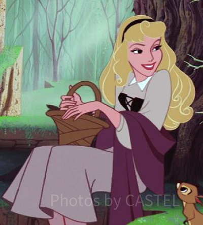 オーロラ姫は出演が少ないプリンセス?