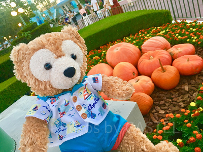 イベント前だったこともあり、ハロウィーンの装飾は少なかったです