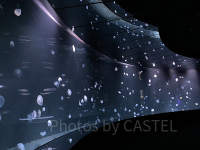 海月空感のクラゲパノラマ