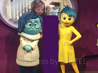 エプコットで会えるヨロコビとカナシミ