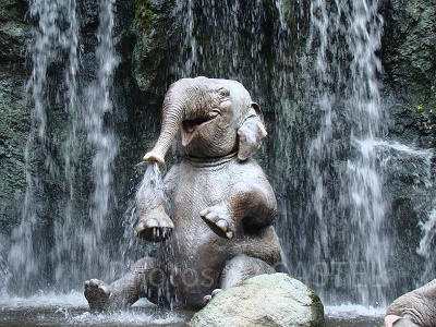 ジャングル・クルーズ