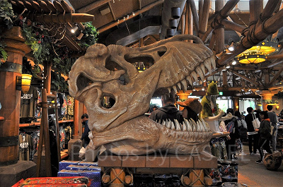 ジュラシックパークアウトフィッターズの装飾／恐竜の骨