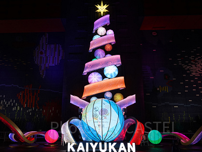 海遊館のイルミネーション