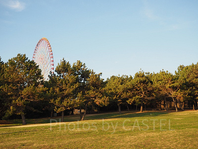 自然豊かな葛西臨海公園