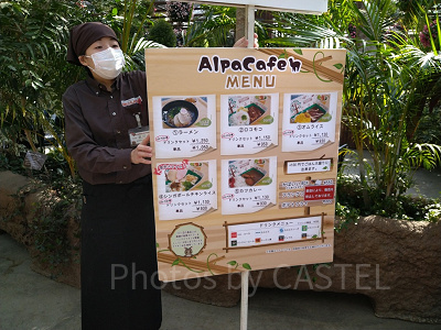 神戸どうぶつ王国の「アルパカカフェ」メニュー