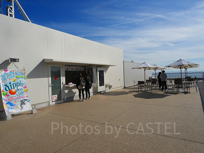 神戸須磨シーワールド：アイスカウンター