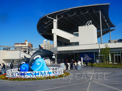 神戸須磨シーワールド：オルカスタディアム