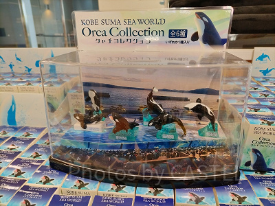 神戸須磨シーワールドのお土産グッズ：シャチコレクションブラインドBOXフィギュア