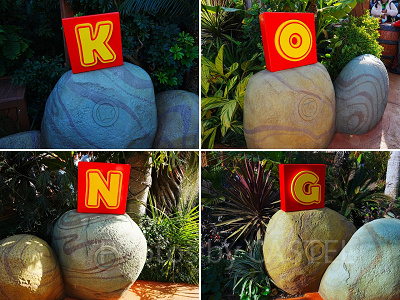 KONGパネル