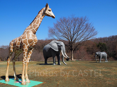 動物のオブジェがたくさんあるころころ広場