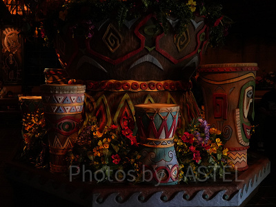 南国気分を味わおう！