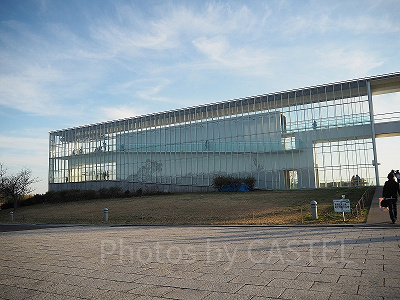 葛西臨海水族園のランチ