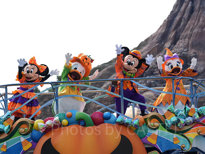 お昼のハーバーショー(イメージ)