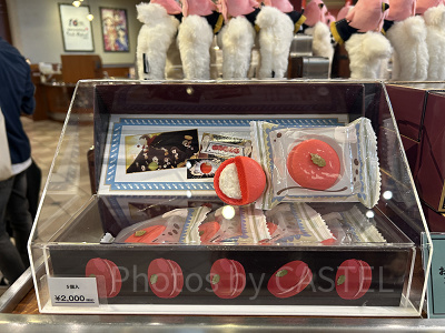 マカロン（USJ×スパイファミリーグッズ）