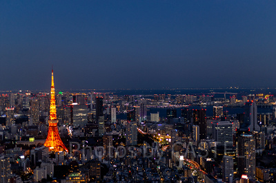 東京観光にも便利な立地のホテルが多い