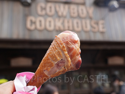 3月ディズニーランド混雑レポ:スモークターキーレッグ