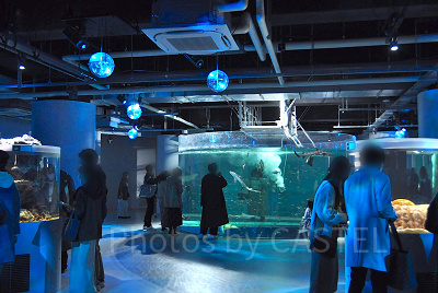 MARINE NOTE 生命のゆらぎ