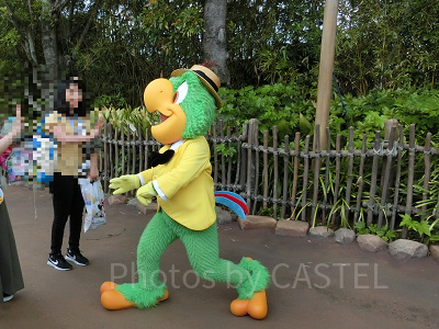 ロストリバーデルタでホセ・キャリオカと触れ合える