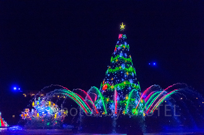 ミッキー＆フレンズがメディテレーニアンハーバーに集合☆