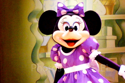 カメラ目線のミニー(マイ・フレンド・ダッフィー/ディズニーシー)