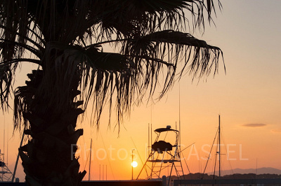 mirumi（ミルミ）のライターさん募集要項