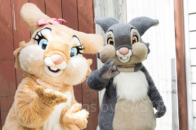 ミスバニーととんすけ