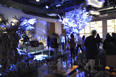 MIYABI 和と灯の間