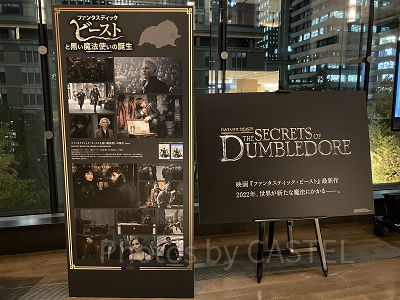 映画『ファンタスティック・ビースト3』