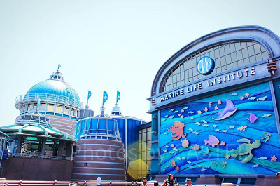 ニモ＆フレンズ　シーライダー