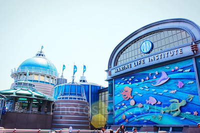 ニモ＆フレンズ・シーライダー