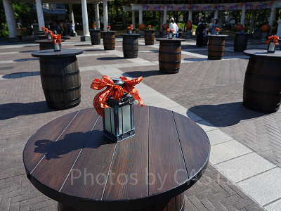 ディズニーシーの新フードトラックの席